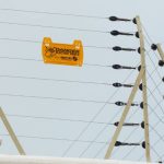 whatsapp image 2025 11 08 at 09.57.02 6d020a1a